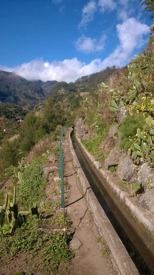 Ribeira Brava Studio Sea Viewアパートメント エクステリア 写真